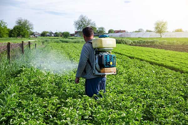 Activist Group and Farmworkers Fight Paraquat Approval in 9th Circuit Petition